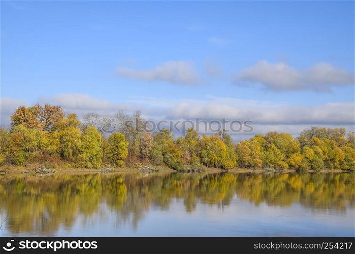 Autumn landscape. River and river bank with yellow trees. Willow and poplar on the river bank. Autumn landscape. River and river bank with yellow trees. Willow and poplar on the river bank.