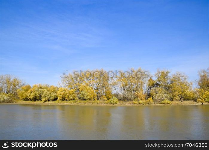 Autumn landscape. River bank with autumn trees. Poplars on the banks.. Autumn landscape. River bank with autumn trees. Poplars on the b