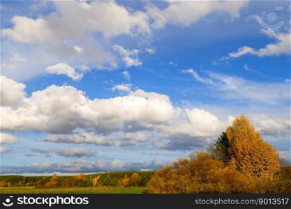 autumn landscape sky trees nature