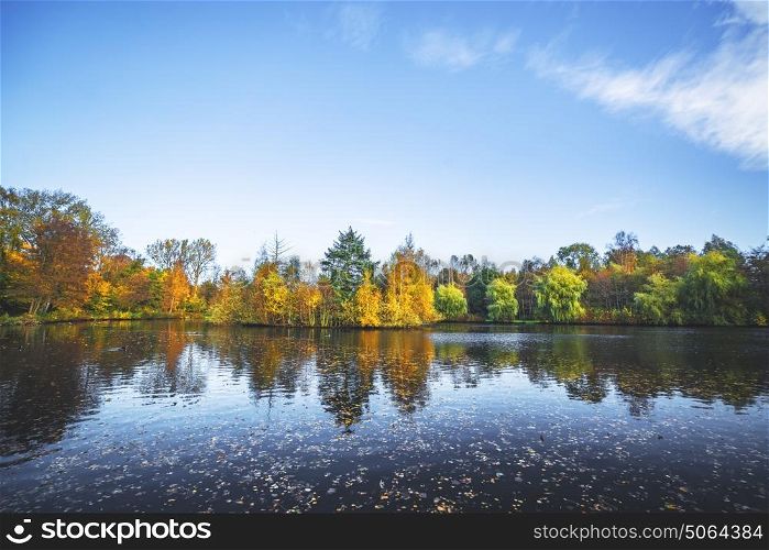 Autumn landscape with a lake and trees in beautiful autumn colors in yellow and orange in the fall with autumn leaves in the dark water