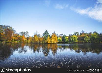 Autumn landscape with a lake and trees in beautiful autumn colors in yellow and orange in the fall with autumn leaves in the dark water