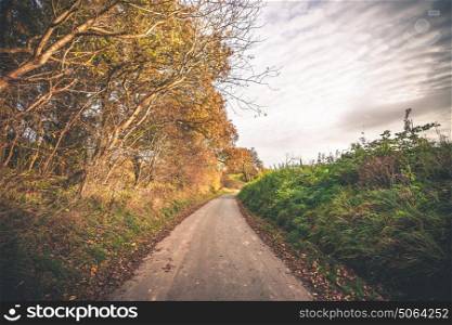 Autumn landscape with a road passing through a countryside environment with trees in beautiful autumn colors