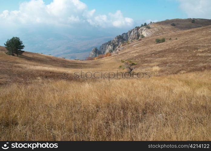 Autumn landscape with clouds and yellow grass.