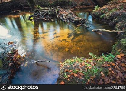 Autumn landscape with colorful forest. Indian summer landscape. Colorful foliage with beautiful woods. Autumn forest river creek view. Creek in autumn forest sunset. Autumn water in forest
