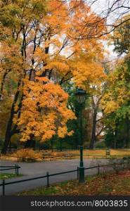 Autumn landscape with colorful lantern. Planty in Krakow.