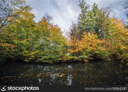 Autumn landscape with colorful trees in the fall by a dark river with autumn leaves in the water in the fall