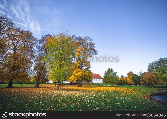 Autumn landscape with fallen leaves from colorful trees in the autumn season in october with yellow autumn leaves on the ground in a park in autumn