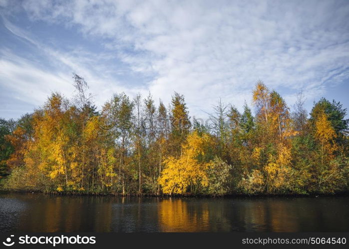 Autumn landscape with golden autumn leaves on the trees in the fall by a dark river with tree reflections in the water