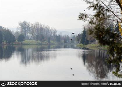 Autumn landscape with reflection of trees in water on a foggy day.The birds flying on sky.