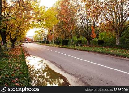 Autumn landscape with road and yellow and red leaves