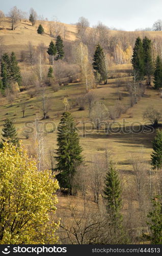 autumn landscape with the trees on a mountain hill and wooden hut