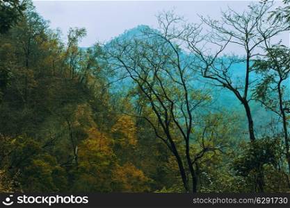 autumn landscape with yellow forest and mountains