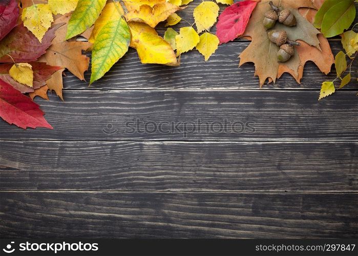 Autumn leaves and acorns on wooden table. Copy space. Top view