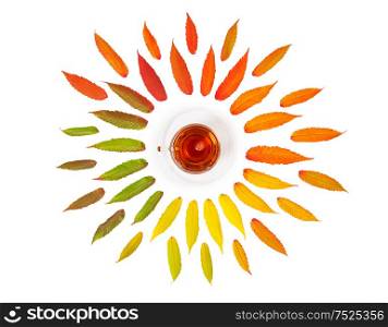 Autumn leaves and cup of tea isolated on white background. Minimal concept. Flat lay pattern