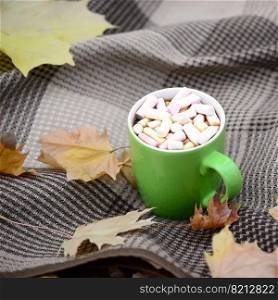 Autumn leaves and hot steaming cup of coffee lies on checkered plaid outdoors. Fall time concept atmospheric mood composition. Autumn leaves and hot steaming cup of coffee lies on checkered plaid outdoors