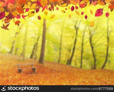 Autumn leaves and old wooden bench in the park background