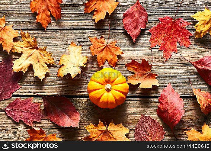 Autumn leaves and pumpkin over old wooden background