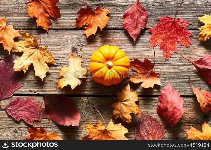 Autumn leaves and pumpkin over old wooden background