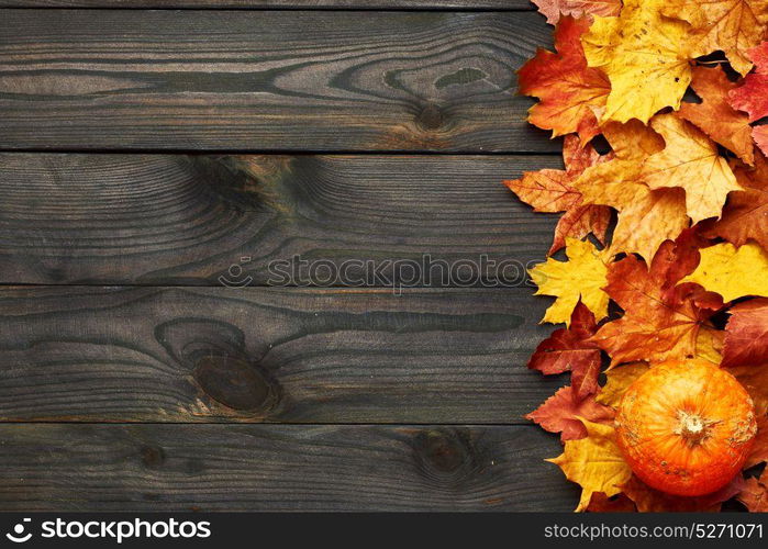 Autumn leaves and pumpkin over old wooden background with copy space