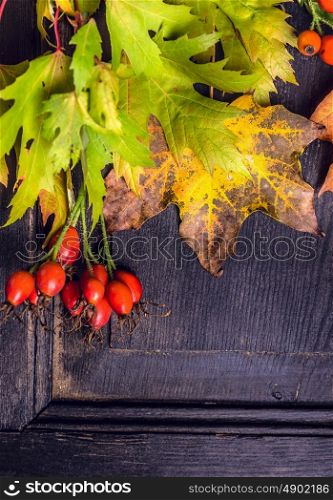Autumn leaves and rose hips on dark wooden background