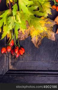 Autumn leaves and rose hips on dark wooden background