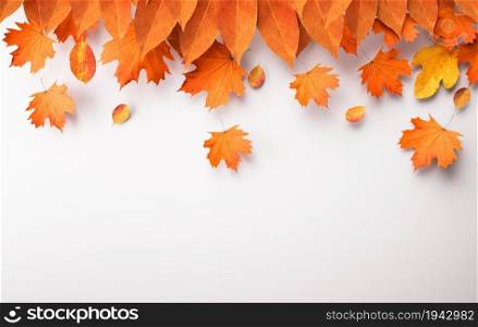 Autumn leaves arrangement with copy space