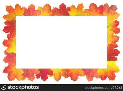 Autumn Leaves as frame on white background