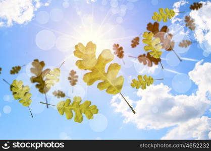 Autumn leaves. Background conceptual image with autumn falling leaves