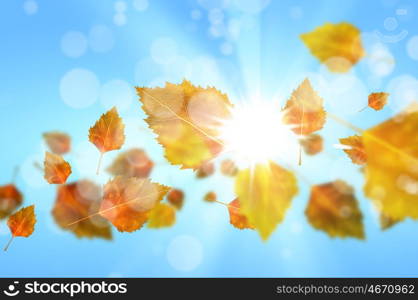 Autumn leaves. Background conceptual image with autumn falling leaves