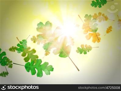Autumn leaves. Background conceptual image with autumn falling leaves