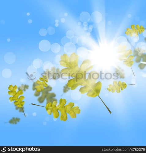 Autumn leaves. Background conceptual image with autumn falling leaves