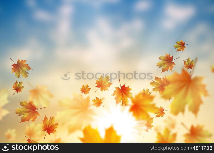 Autumn leaves. Background conceptual image with autumn falling leaves