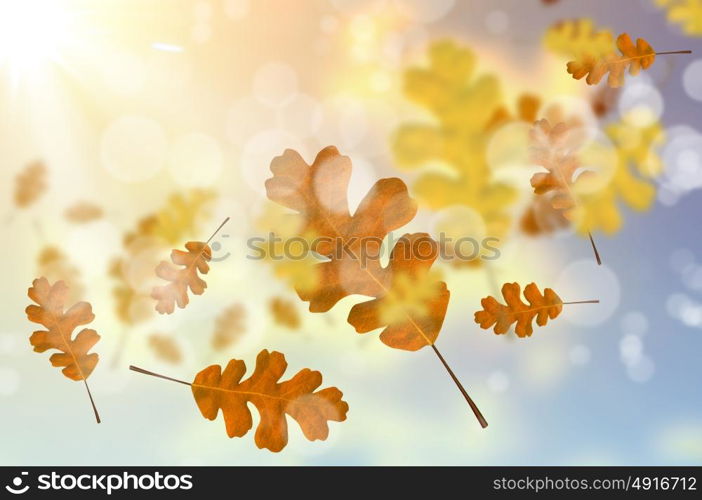 Autumn leaves. Background conceptual image with autumn falling leaves