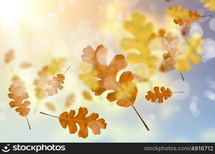 Autumn leaves. Background conceptual image with autumn falling leaves