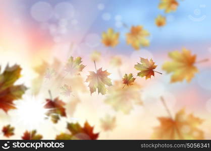 Autumn leaves. Background conceptual image with autumn falling leaves