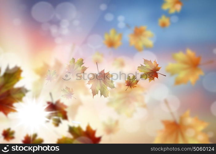 Autumn leaves. Background conceptual image with autumn falling leaves