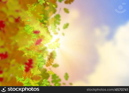 Autumn leaves. Background conceptual image with autumn leaves. Place for text