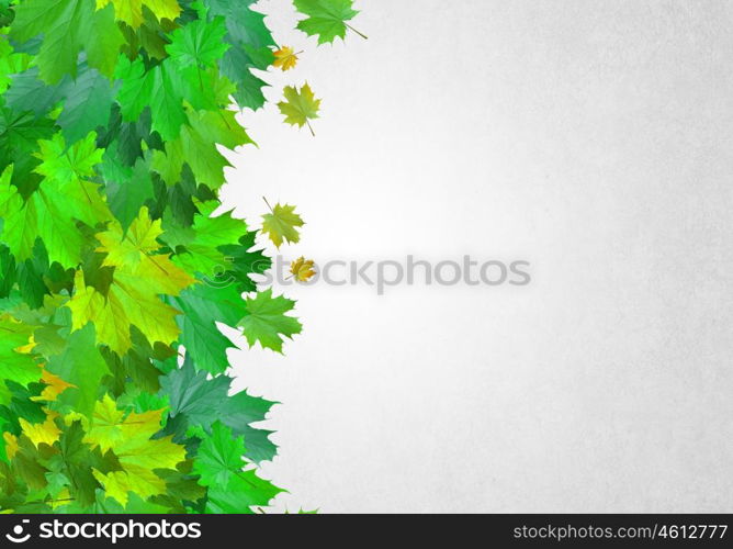 Autumn leaves. Background conceptual image with autumn leaves. Place for text