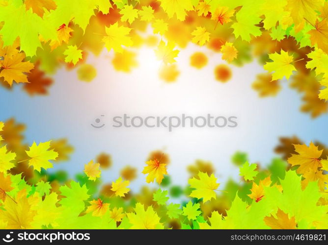 Autumn leaves. Background conceptual image with autumn leaves. Place for text