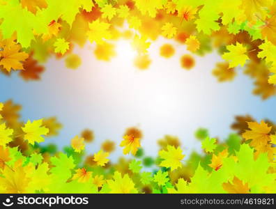 Autumn leaves. Background conceptual image with autumn leaves. Place for text