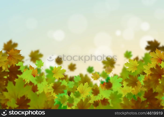 Autumn leaves. Background conceptual image with autumn leaves. Place for text