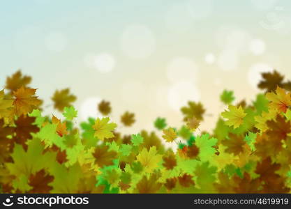 Autumn leaves. Background conceptual image with autumn leaves. Place for text