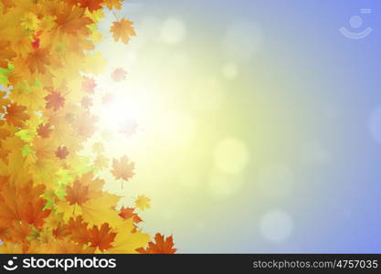 Autumn leaves. Background conceptual image with autumn leaves. Place for text