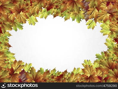 Autumn leaves. Background conceptual image with autumn leaves. Place for text