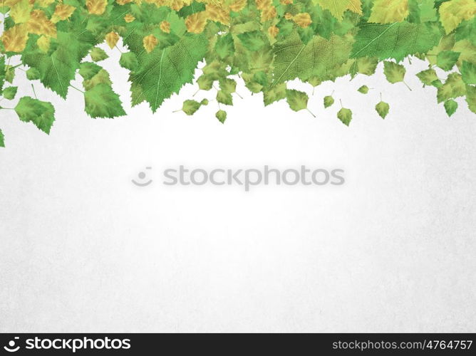 Autumn leaves. Background conceptual image with autumn leaves. Place for text