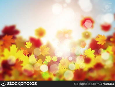 Autumn leaves. Background conceptual image with autumn leaves. Place for text