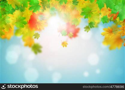 Autumn leaves. Background conceptual image with autumn leaves. Place for text