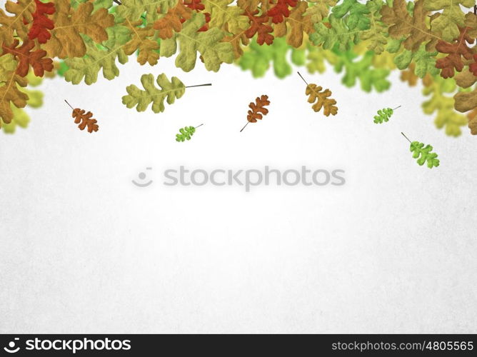 Autumn leaves. Background conceptual image with autumn leaves. Place for text