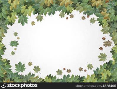 Autumn leaves. Background conceptual image with autumn leaves. Place for text