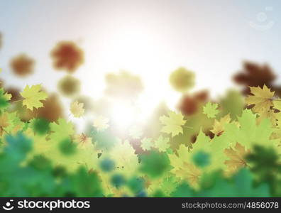 Autumn leaves. Background conceptual image with autumn leaves. Place for text